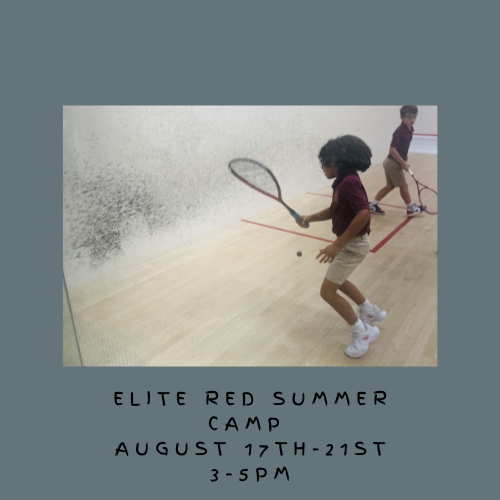 Elite Red Summer Camp August 17th-21st  3pm-5pm   $450